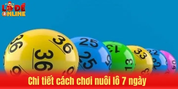 Chi tiết cách áp dụng nuôi lô 7 ngày hiệu quả