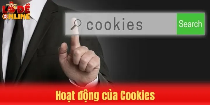 Nội dung chi tiết về các loại cookies