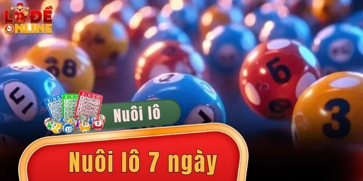 Nuôi lô 7 ngày – Hiểu rõ để biết cách áp dụng chuẩn