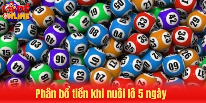 Vào tiền nuôi lô 5 ngày chuẩn xác nhờ chuyên gia