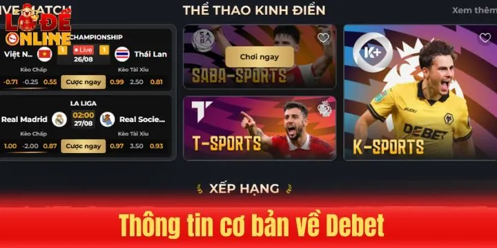 Thông tin khái quát cần biết về Debet